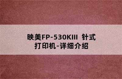 映美FP-530KIII+ 针式打印机-详细介绍